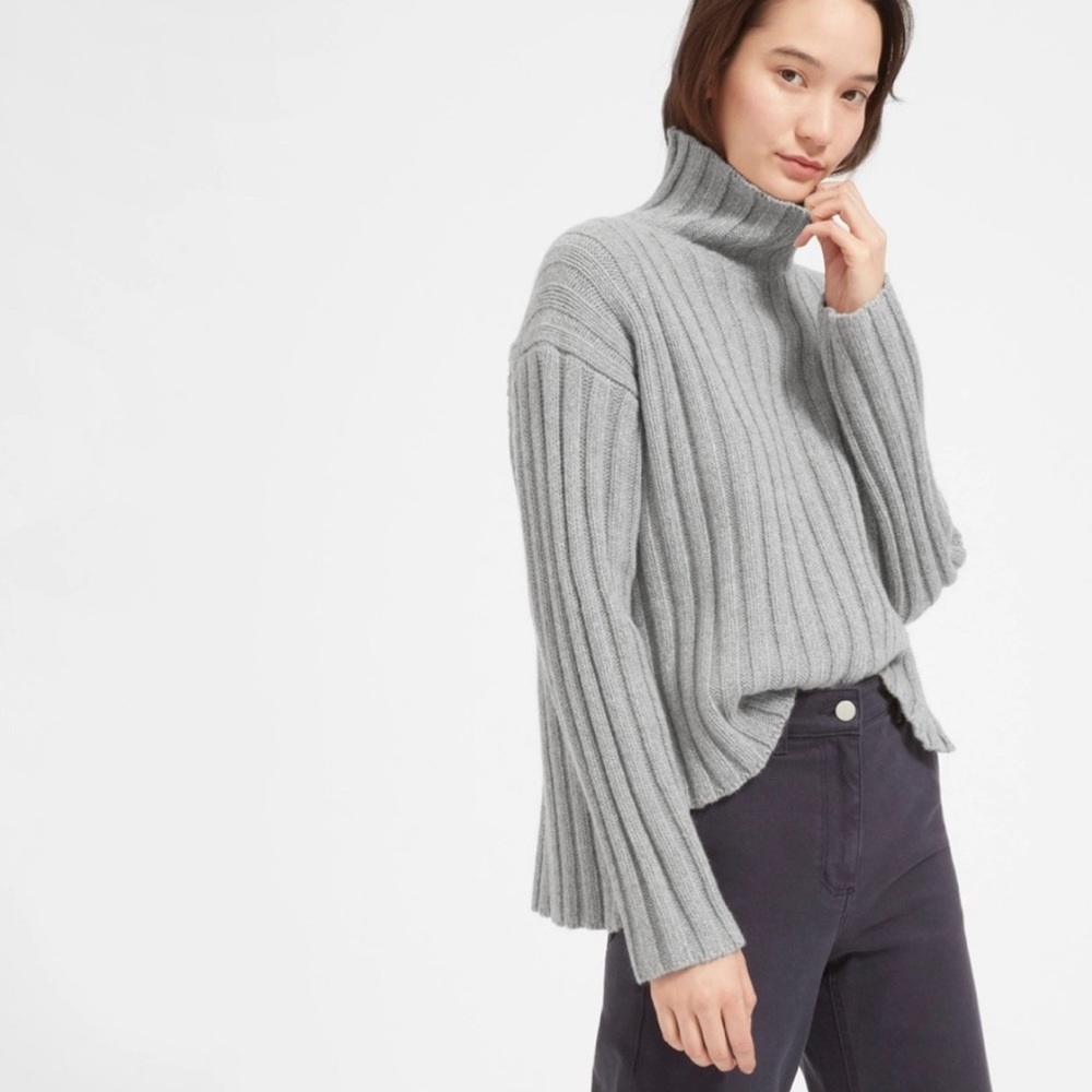Everlane Wool Cashmere Turtleneck